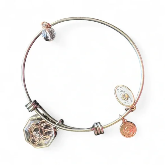 Love 🐶🐶Silver and Gold Dog adjustable bracelet - Picture 1 of 2